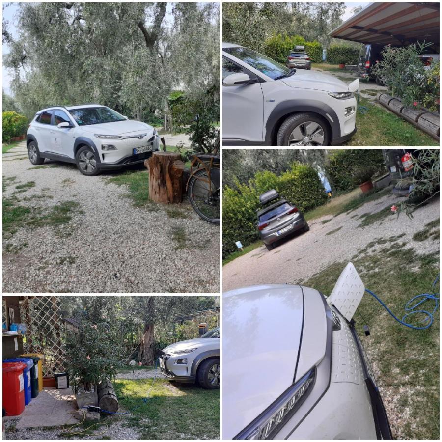 "Casabana" - Relax Tutto L'Anno - Giardino - Piscina Top Malcesine Eksteriør bilde